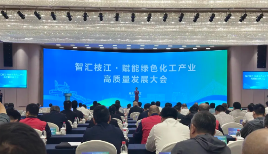 化工工程学科发展研讨会暨赋能绿色化工产业高质量发展大会在枝江隆重举行