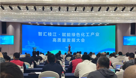 化工工程学科发展研讨会暨赋能绿色化工产业高质量发展大会在枝江隆重举行